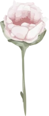 Gardinen Flat vector art is showing pale pink flower with leaf bud on green stem, transparent background © vectorfusionart
