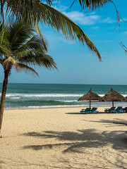 Tropical beach with palm tree and straw parasols, clear waves in background.