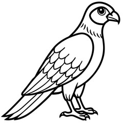 Sparrowhawk Minimalist Line Art on White