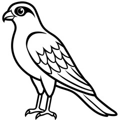 Sparrowhawk Minimalist Line Art on White