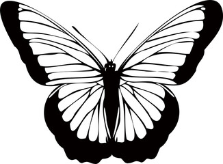 Silhouette butterfly showing symmetrical veins and scalloped edges on transparent background