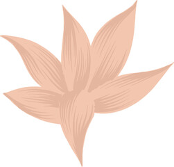 Abstract six-petaled flat floral design is showing pastel peach petals on transparent background