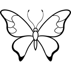 Naklejka premium butterfly on white background