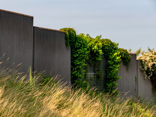 Lärmschutzwand an einer Bundesstrasse