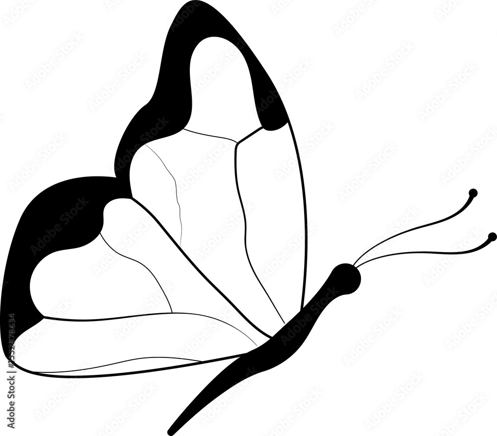 Poster flat butterfly line drawing is floating in transparent backdrop with lobed wings and thin antennae
