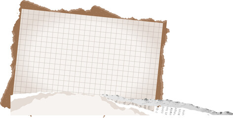 Displaying flat paper collage with torn kraft and grid sheets, text strips, transparent background