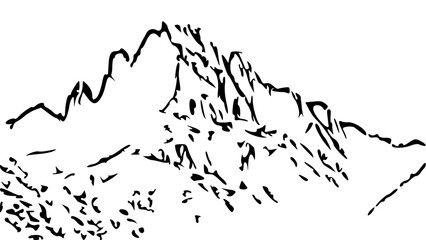 black silhouette of a white background