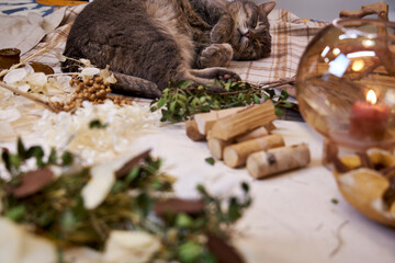 Cozy scene featuring a gray cat peacefully sleeping on a wooden table next to a burning handmade...