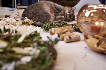 Cozy scene featuring a gray cat peacefully sleeping on a wooden table next to a burning handmade...