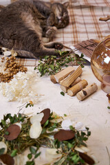 Cozy scene featuring a gray cat peacefully sleeping on a wooden table next to a burning handmade aromatherapy candle and dried flower wreath materials. Natural light highlights the soft textures of th