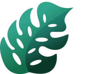  Monstera leaf is showing flat gradient design with split-leaf cut-outs on transparent background © vectorfusionart