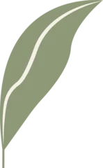 Gardinen Abstract olive leaf floating diagonally in flat style, showing cream stripe, transparent background © vectorfusionart