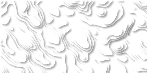 Fototapeta premium Abstract white topographic map illustration depicting elevation contours and textured landscape overlays.