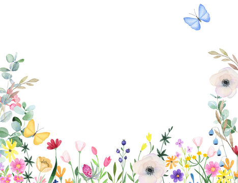 Watercolor card frame with medow wildflowers png on transparent background