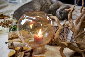 Cozy scene featuring a gray cat peacefully sleeping on a wooden table next to a burning handmade aromatherapy candle and dried flower wreath materials. Natural light highlights the soft textures of th