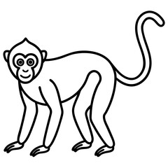 Minimalist Spider Monkey Line Art on White Background