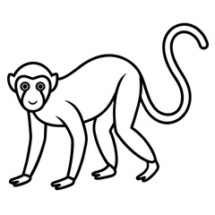 Minimalist Spider Monkey Line Art on White Background