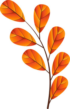 Fototapeta Autumn branch is showing seven gradient orange-red leaves in flat vector on transparent background