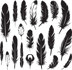 Feathers set silhouette vector 