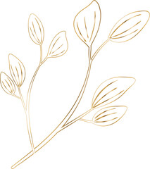 Botanical branch is featuring line art with gold outlines and oval leaves on transparent background