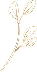 Flat design showing stylized leafy branch with four gold-outlined leaves, transparent background