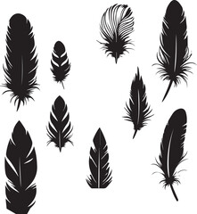 Feathers set silhouette vector 