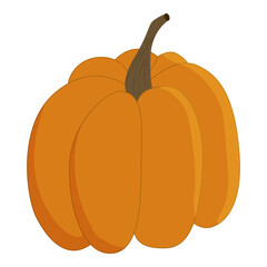 Pumpkin vector in flat style. Autumn vegetable