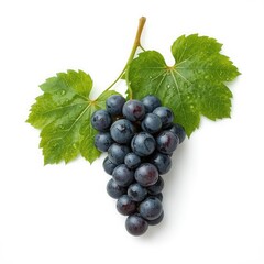 Fresh ripe dark grapes with green leaves and water droplets on a white background