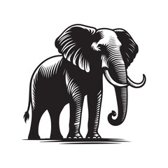 elephant vector illustration