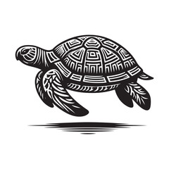 turtle vector illustration