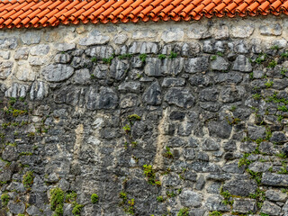 Feuchte und verschmutzte Hauswand