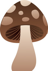 Cartoon mushroom flat design showing brown spotted cap, pale stem, gills on transparent backdrop © vectorfusionart