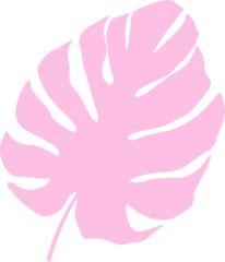 Gardinen Pink monstera leaf silhouette is floating on transparent background in flat graphic style © vectorfusionart