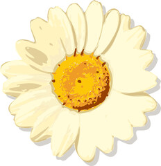 Stylized daisy head is floating on transparent background, showing cream petals, textured center