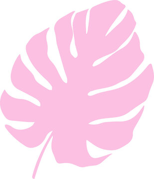 Fototapeta Pink monstera leaf silhouette is floating on transparent background in flat graphic style