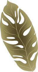 Stylized metallic gold monstera leaf is gleaming through cutouts against transparent background