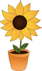 Stylized sunflower is standing in flat design with yellow petals, clay pot and transparent backdrop
