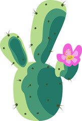 Vector green cactus is showing stacked pads with dark spines, pink bloom on transparent backdrop