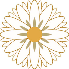White daisy is being shown in flat vector, gold outlines and yellow center, transparent background