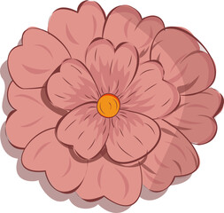 Flat coral flower is showing layered petals and orange-yellow center on transparent background