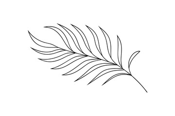 Elegant line-art palm leaf tropical botanical illustration
