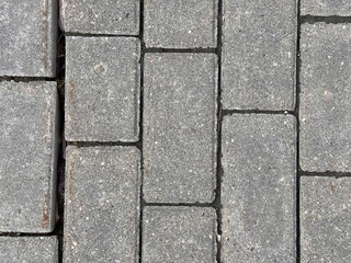 A detailed description of a Gray Paving Stones Pattern used in various outdoor settings. Clos-eup...