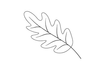 Simple line art oak leaf design element