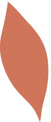 Obraz premium vector orange-red leaf is floating on transparent backdrop showing central vein with lateral veins