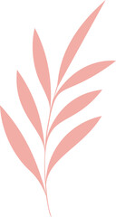 Pink plant branch is floating in flat design, showing elongated leaves on transparent background