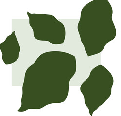 Flat design abstract leaf shapes are layering pale green rectangle, transparent background
