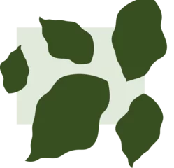 Gardinen Flat design abstract leaf shapes are layering pale green rectangle, transparent background © vectorfusionart