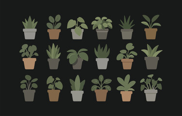 Collection of twenty four potted plants in various styles