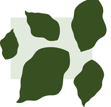 Fototapeta Flat design abstract leaf shapes are layering pale green rectangle, transparent background