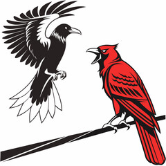 Black crow and red cardinal birds confrontation wildlife nature